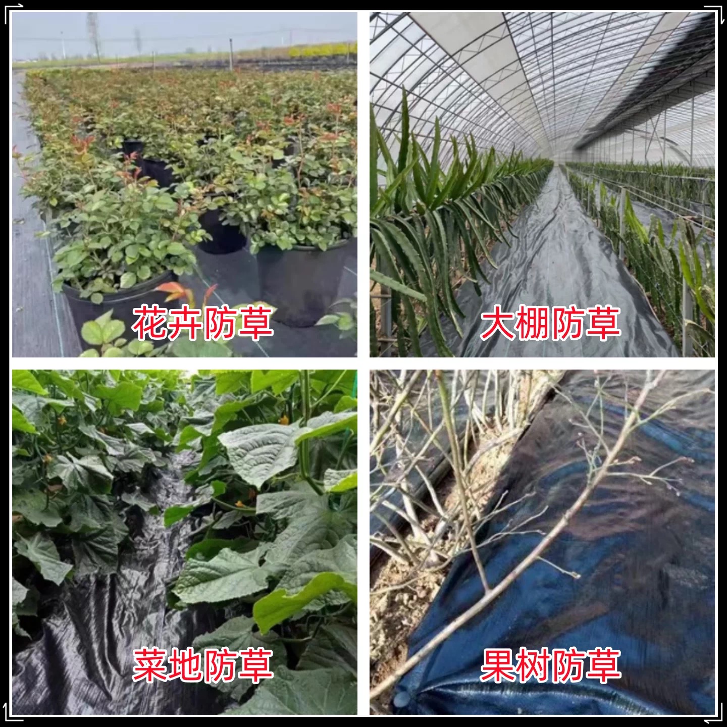 淄博市工程膜防草布 - 价格