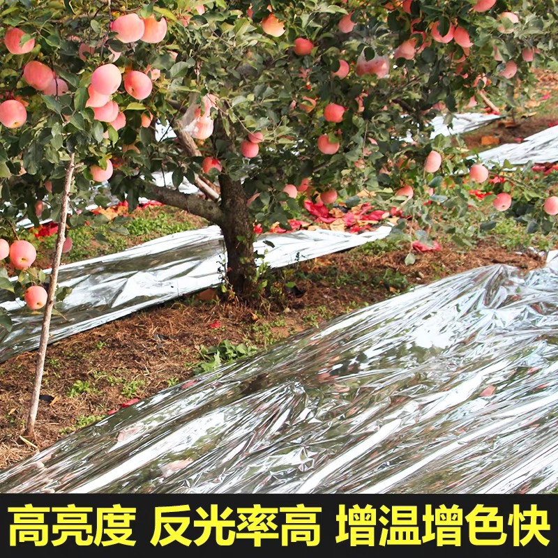 淄博市果树反光膜果树反光膜 - 排名